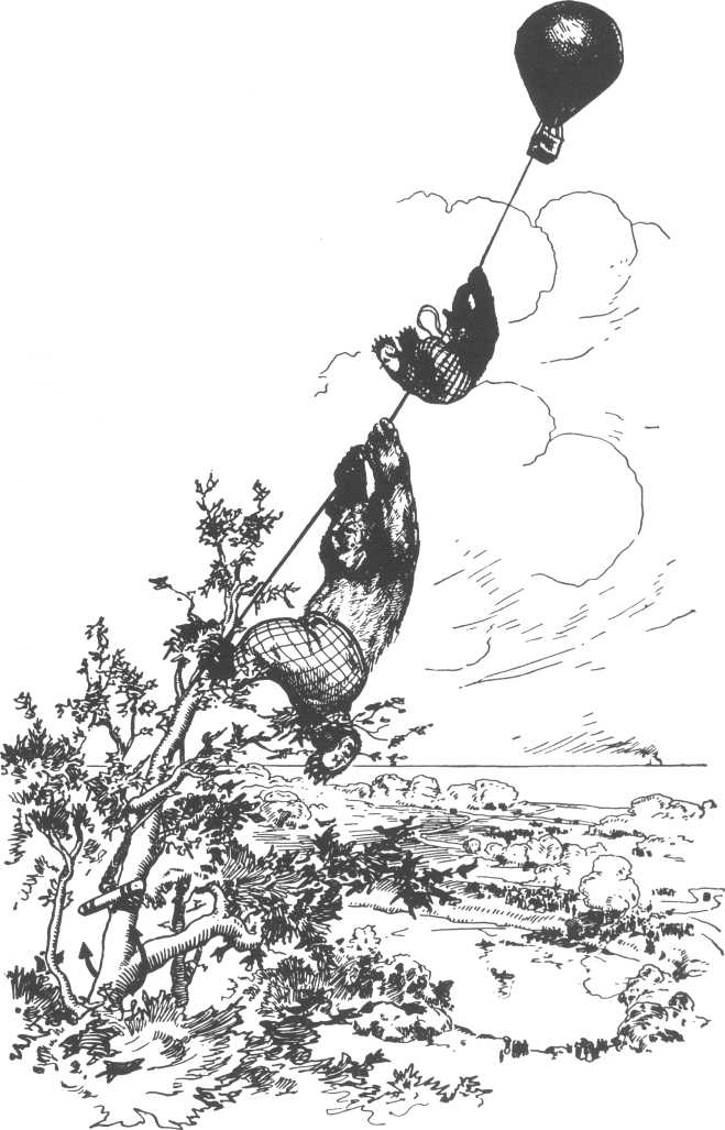 Illustration of the two bears on a rope between a hot air balloon and a tree