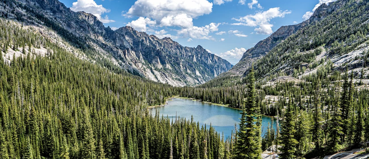 Legislating the Landscape: The Battle for a Federal Wilderness Bill for Montana, 1979-1988