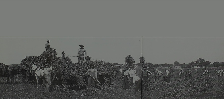 The First Iowa Plowing Match