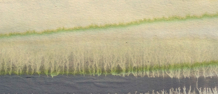 Volume 82 • Issue 3 • 2023 • Summer