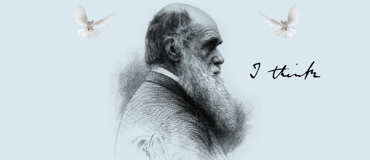 Progress, Positivism, and Scientific Revolution: The Synthesis of Darwin's Theory of Evolution