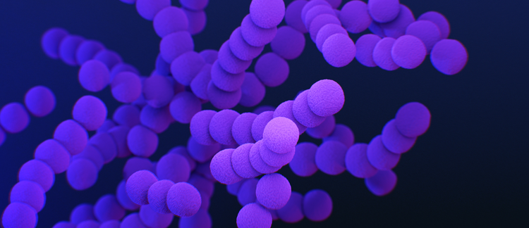 A New Class of Antibiotics Could Stop Drug-Resistant Bacteria in their Tracks